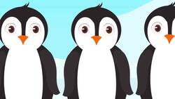 I WONDER - What Do Penguins Eat In The Really Cold Weather? Instructional Video
