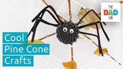 5 Pine Cone Crafts Instructional Video