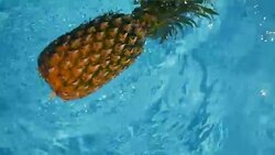 Pineapple Floating In blue Water In Swimming Pool. Healthy Raw Organic Food. Juicy Fruit. Vegetarian, Vegan Nutrition, Vitamins, Diet, summer holidays, vacation concepts. Exotic tropical background Stock Footage
