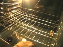 How to Get Rid of Mice Instructional Video