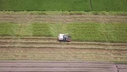Aerial view of Harvesting Corn Stock Footage