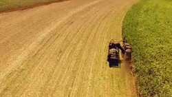 Sugar cane harvest. Aerial view of a 'canavial'. Stock Footage