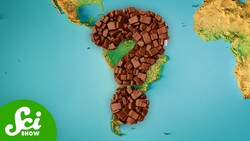 We Don’t Know Where Chocolate Comes From Instructional Video