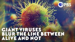Giant Viruses Blur The Line Between Alive and Not Instructional Video