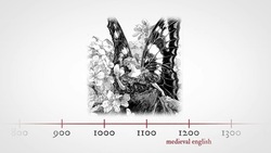 A Midsummer Night's Dream 2.1.245 Word Nerd: Nymph Instructional Video