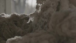 Slow motion, close up of sheared Merino wool Stock Footage