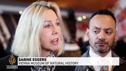 New Zealand receives looted indigenous remains from Austria News Clip