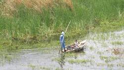 Egypt, Nile river - Traditional fisherman Stock Footage