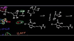 Acetyl-S-CoA Carboxylase Part 1 (Biotin Carboxylase) Instructional Video