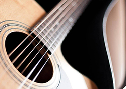 ¿Cómo usan los lagartos las vibraciones para comunicarse? Instructional Video