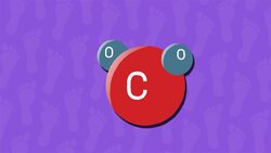 I WONDER - What Is A Carbon Footprint? Instructional Video