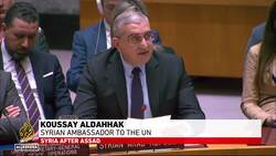 UN Security Council meets on Syria, members call for end to Israeli bombardment News Clip