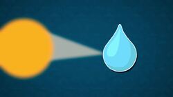 How Does it Work? - Rainbows Instructional Video