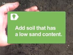 How to Grow Fava Beans Instructional Video