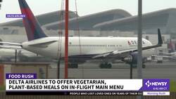 Delta Adds New Vegetarian Meals To Its In-Flight Menu News Clip