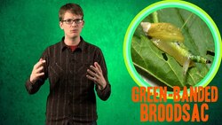 Mind-controlling Parasites! Instructional Video