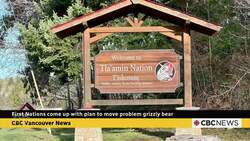 First Nations have plan to move problem grizzly but need go-ahead from B.C. News Clip