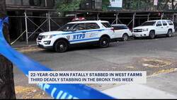 NYPD: 22-year-old man dies following early morning stabbing News Clip