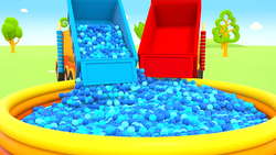 Sea Instructional Video