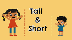 Comparative concept - Tall and Short Instructional Video