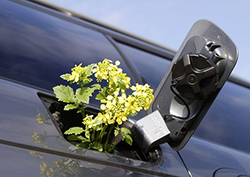 Non-renewable vs renewable Instructional Video