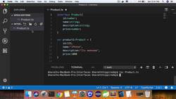 TypeScript for Beginners - Working with Interfaces Created at Compile Time Instructional Video