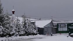 CLEAN : Russian penal colony where sentenced US basketball star Griner is now incarcerated News Clip