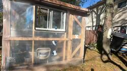 Life in Limberlost: A backyard garden News Clip