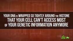 How Health Affects Sperm Instructional Video