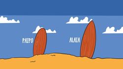 The Surfboard: The Evolution of the Surfboard Instructional Video