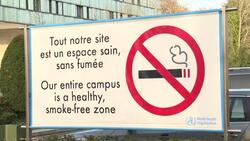 CLEAN : Turning point as number of male smokers drops: WHO News Clip