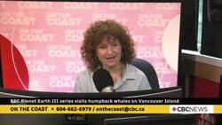 CBC BC News Morning Module for Feb. 21, 2024 News Clip