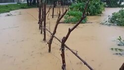 CLEAN : Floods and landslides in central Vietnam kill three News Clip