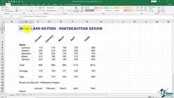 The Complete Excel Guide: Beginners to Advanced - Formatting Cells: Part 2 Instructional Video