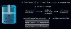 Pressure, volume change on equilibrium Instructional Video