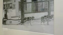 Check out the 'Tapis' exhibit in Fort Smith, N.W.T.'s museum News Clip