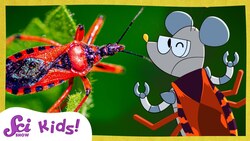 Meet the True Bugs | SciShow Kids Instructional Video