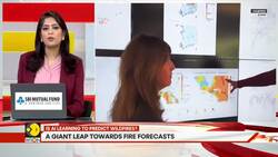 Researchers develop new AI model to predict probable wildfires News Clip