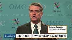WTO Seeking Stopgap for Appeals Panel Loss, Director-General Says  News Clip
