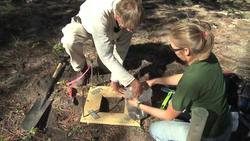 The National Ecological Observatory Network studies ecology Instructional Video