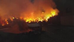 Former Long Islanders among evacuees as wildfires rage in Los Angeles area News Clip