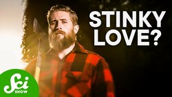 How Pheromones Work in Humans Instructional Video