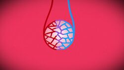 TED-Ed: Why is pneumonia so dangerous? | Eve Gaus and Vanessa Ruiz Instructional Video