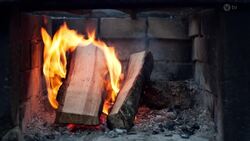 Archaeologists shocked by mystery building complex found by luck Instructional Video