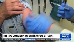 New flu strain could escape vaccine immunity as holiday travel begins News Clip