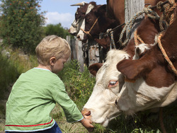 Learning to Care: Taking Care of Our Environment and Ourselves Instructional Video