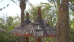 Roofs made of straw surrounded by trees in 4k slow motion 60fps Stock Footage