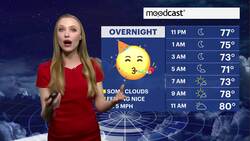 Mostly cloudy, with chances for stray showers on Saturday for Brooklyn News Clip