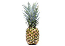 How far did your pineapple travel? Instructional Video