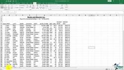 The Complete Excel Guide: Beginners to Advanced - New Window Option Instructional Video